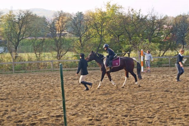 Hubertus 2009
